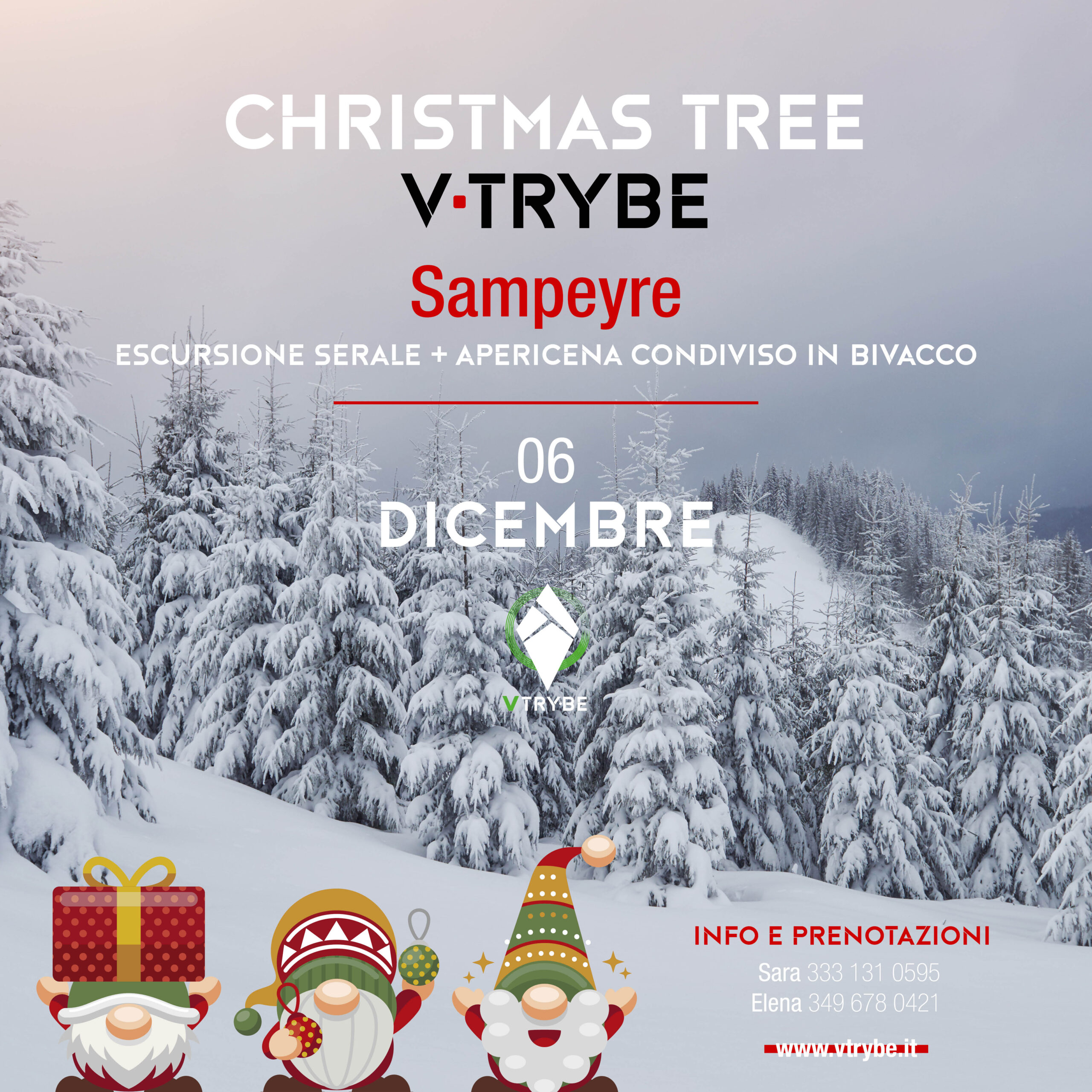 christmas tree v trybe 6 dicembre